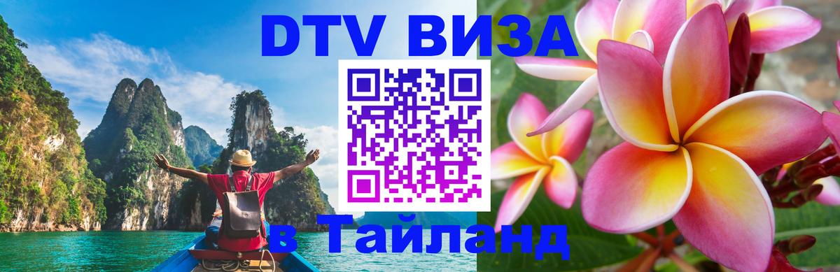 Сколько стоит DTV виза — актуальные цены, оформление даже без документов - 18.11.2025 
